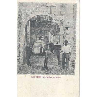 San Remo - Contadino con Mulo vers 1900
